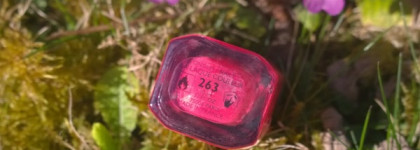 Яркий Guerlain Colour Lacquer Long-Lasting Colour & Shine Nr. 263 - La Parisienne