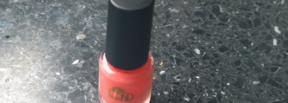 Нежный коралл LCN Nail Polish 353