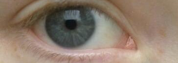 Max Factor - 2000 Calories Dramatic Look - мой ежедневный друг