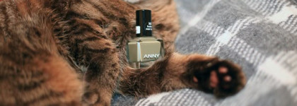 Лак для ногтей ANNY 362 Hudson River Turtle