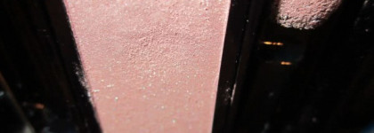 shiseido Luminizing Satin Eye Color RD709