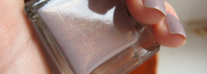 Осень в Нью-Йорке - Anny nail polish N.y. fashion queen 521