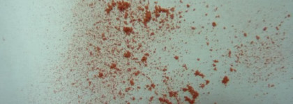 Румяна MaxFactor  Flawless Perfection Blush  тон 220 Classic Rose