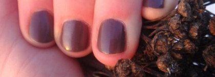 Моя зима с лаком Golden Rose Paris №120