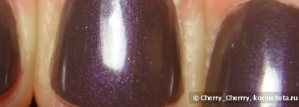 Моя зима с лаком Golden Rose Paris №120