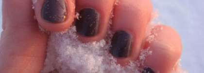 Моя зима с лаком Golden Rose Paris №120