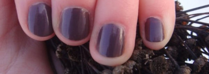 Моя зима с лаком Golden Rose Paris №120