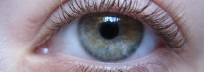 Держать изгиб! Тушь Essence Multi Action