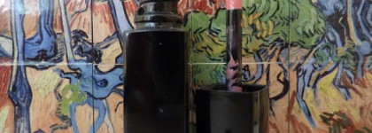 Chanel rouge allure laque № 76 ming