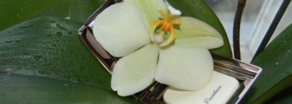 Guerlain Parure Compact Foundation With Crystal Pearls SPF 20 PA++ – Компактная тональная пудра cо светоотражающими частицами СПФ 20