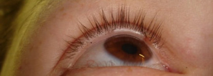 Тушь Max Factor Xperience