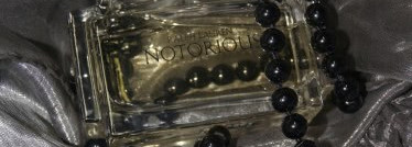 Элегантность Notorious Ralph Lauren