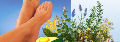 Крем гидро-баланс (Lipidro-creme) Геволь (Gehwol)