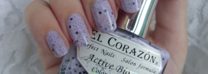 El Corazon - Eggs of wild birds № 423/95