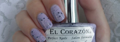 El Corazon - Eggs of wild birds № 423/95