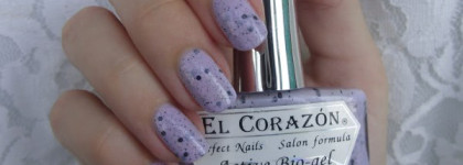 El Corazon - Eggs of wild birds № 423/95