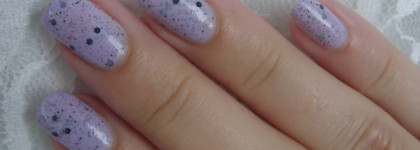 El Corazon - Eggs of wild birds № 423/95