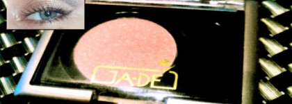 Последнее осеннее солнце или монотени от Ja-De # 185