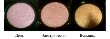 Последнее осеннее солнце или монотени от Ja-De # 185