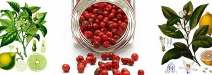 Охота на бабочек или самый прекрасный в мире аромат от L'Artisan Parfumeur