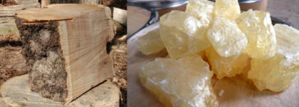 Мое волшебное "яблоко" - Nina от Nina Ricci