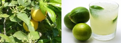 Мое волшебное "яблоко" - Nina от Nina Ricci