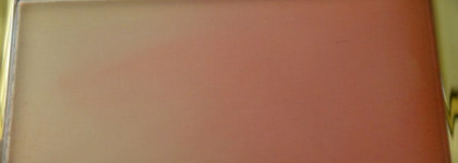 Добро пожаловать или как в моей косметичке снова поселились румяна (Signature Silky Powder Blush от Estee Lauder #21 Peach Nuance)