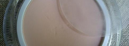 Пудра Pupa Silk Touch Compact Powder 05