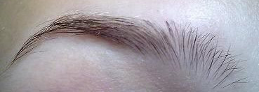 Небольшой обзор косметики essence