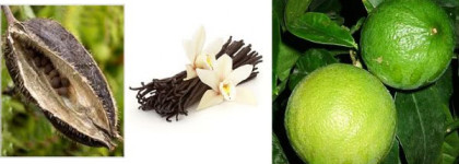 Narciso Rodriguez For Her EDP