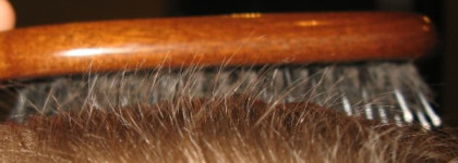 Натуральные средства для волос Зейтун