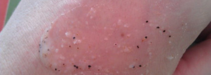 FitKit или мой набор для посещения фитнес клуба