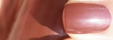 Мои шоколадные мальчики