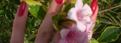 Бюджетный и яркий вариант с лаком Essence Back to the 50's