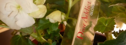 Christian Dior Dior Addict gloss 013