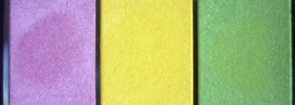 Shiseido Luminizing Satin Eye Color Trio - YE406 Tropicalia