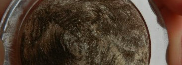 Делаем глазки с LIV Delano, Lux Visage и Essence