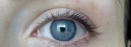 Обновленный консилер Essence camouflage+ healthy glow concealer