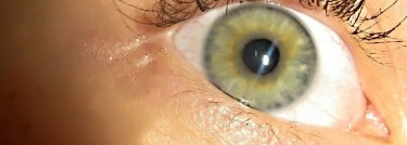 Тушь для ресниц с эффектом "накладных ресниц" Volume Effet Faux Cils от YSL