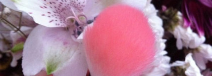 Кисти для лица от Essence - я в восторге