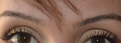 Shiseido Hydro-Powder Eye Shadow H1 - Goldlights