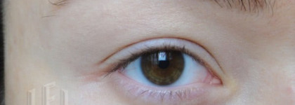 Мои базы для век: 7 любимок и 1 аутсайдер