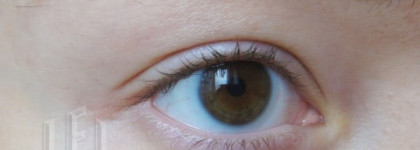 Мои базы для век: 7 любимок и 1 аутсайдер