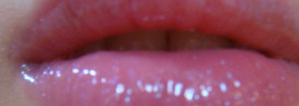 Розовые розы (без шипов)