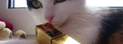 YSL Fard A Levres Rouge Pur Pure Lipstick №6 или в закромах моей косметички