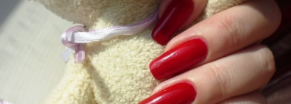 Мой маленький урожай опят