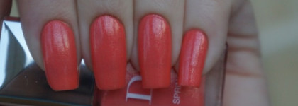 Четвёрка Dior Vernis: Spring Ball, Tuxedo, Plaza, Amazonia