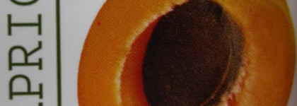 Как сделать кожу тела идеально гладкой всего за одну процедуру?! Легко! Растительный Гоммаж для Yves Rocher Тела Abricot Gommage Botanical Scrub