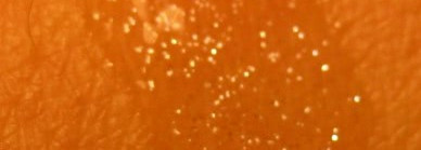 "Губки бантиком" или разбор августовских покупок