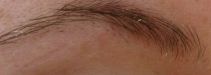 Обрамление зеркала души: Artdeco Clear Lash & Brow Gel